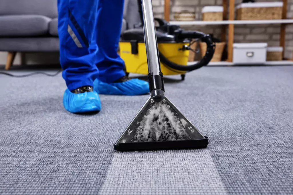 Professional carpet extraction cleaning with disposable shoe covers